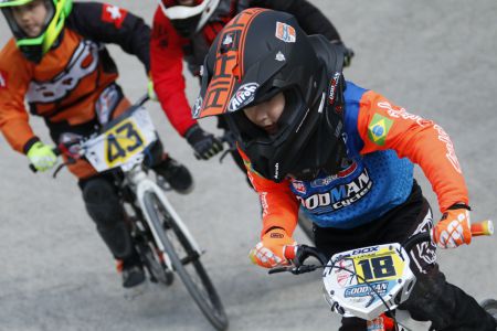 ARB1 2017 1011