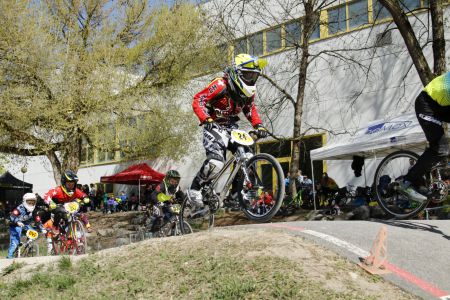 ARB1 2017 430