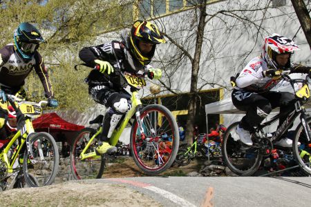 ARB1 2017 731