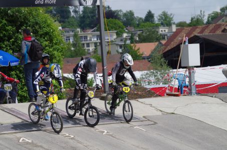 IMGP2505