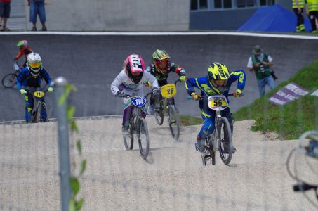 IMGP3463