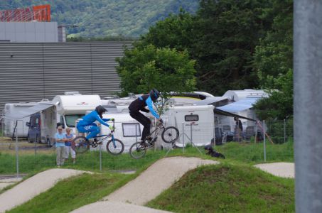 IMGP3529